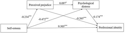 Self-esteem and professional identity among male nurses and male nursing students: mediating roles of perceived prejudice and psychological distress